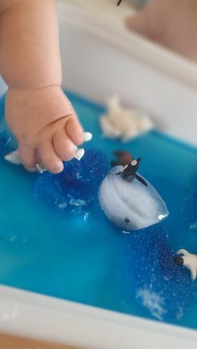 20260119 092249 wynik