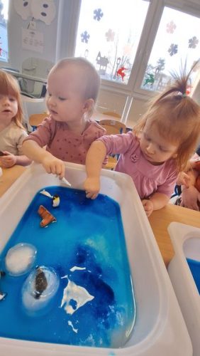 20260119 092512 wynik