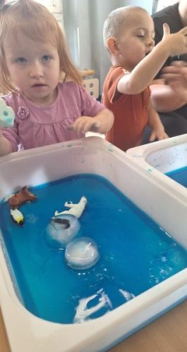 20260119 092858 wynik