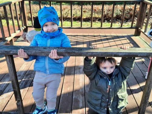 20260305 102350 wynik