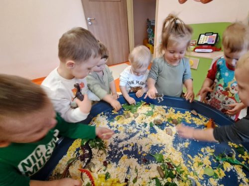 FB IMG 1771941105643