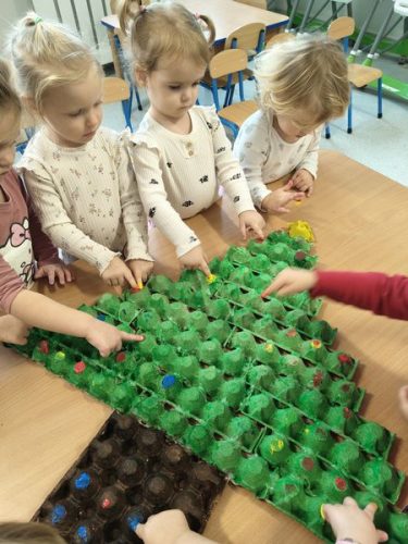 IMG20251212105323 wynik